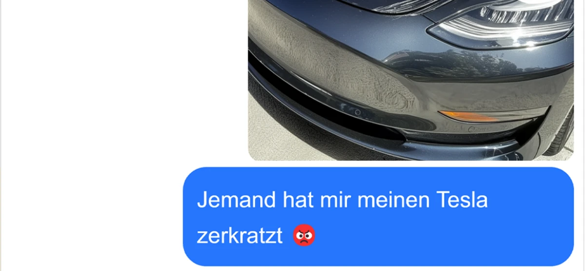 Die haben einfach seinen Tesla zerkratzt