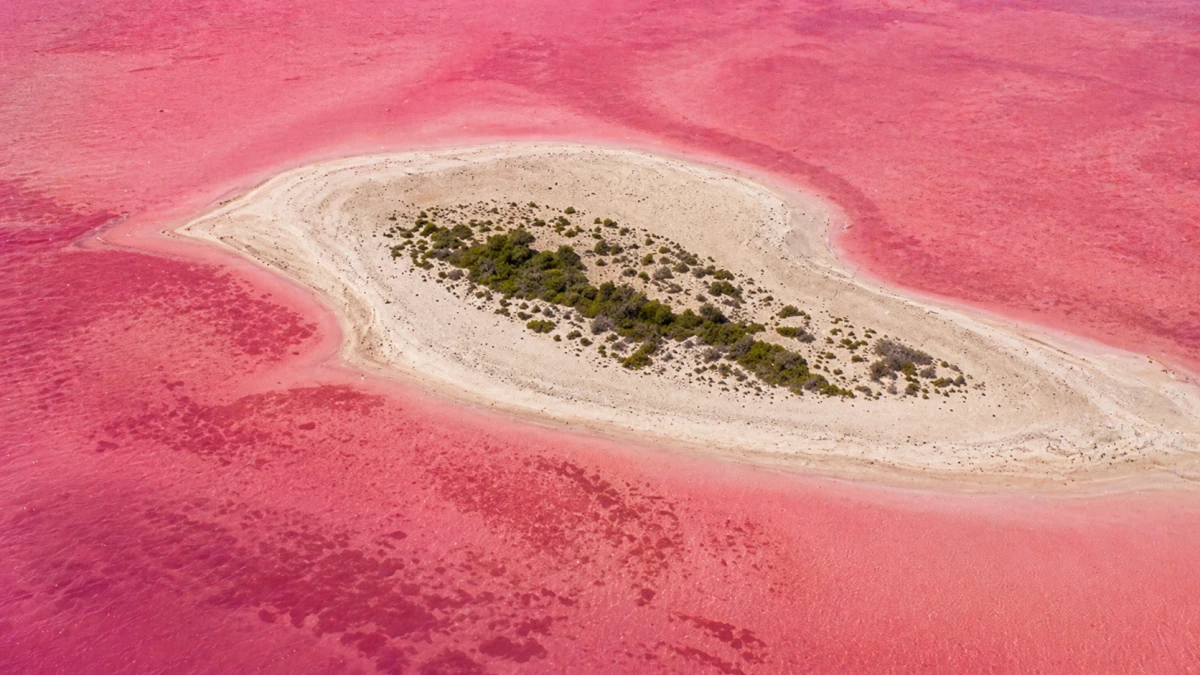 Strand in Mirbat färbt sich rot-pink: Experten nennen mögliche Ursache