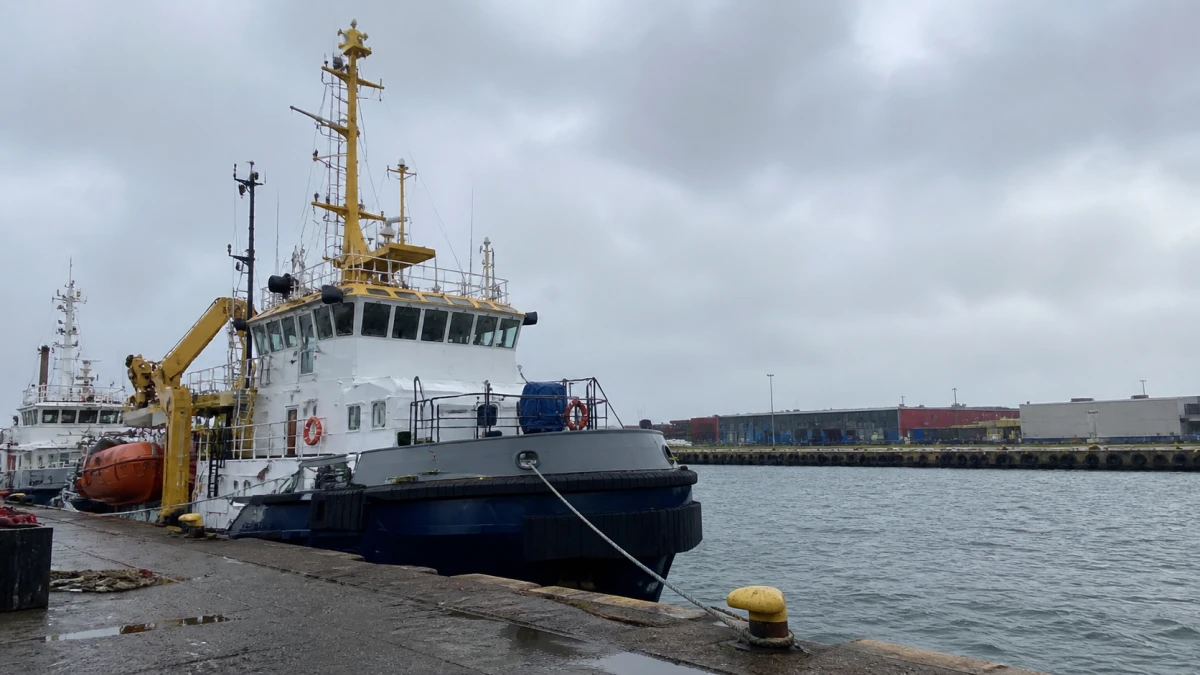 Tierärztin steht nach einer Wal-Rettungsaktion am Hafen vor einem Arbeitsschiff