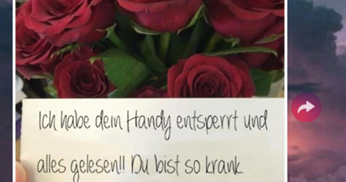 Sie hat alle Nachrichten gelesen, die waren nicht gut genug versteckt.